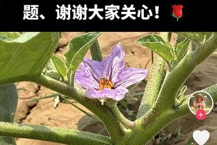 关键攻防定胜局！波杰姆斯基造进攻犯规+2罚全中 全场10分5板5助